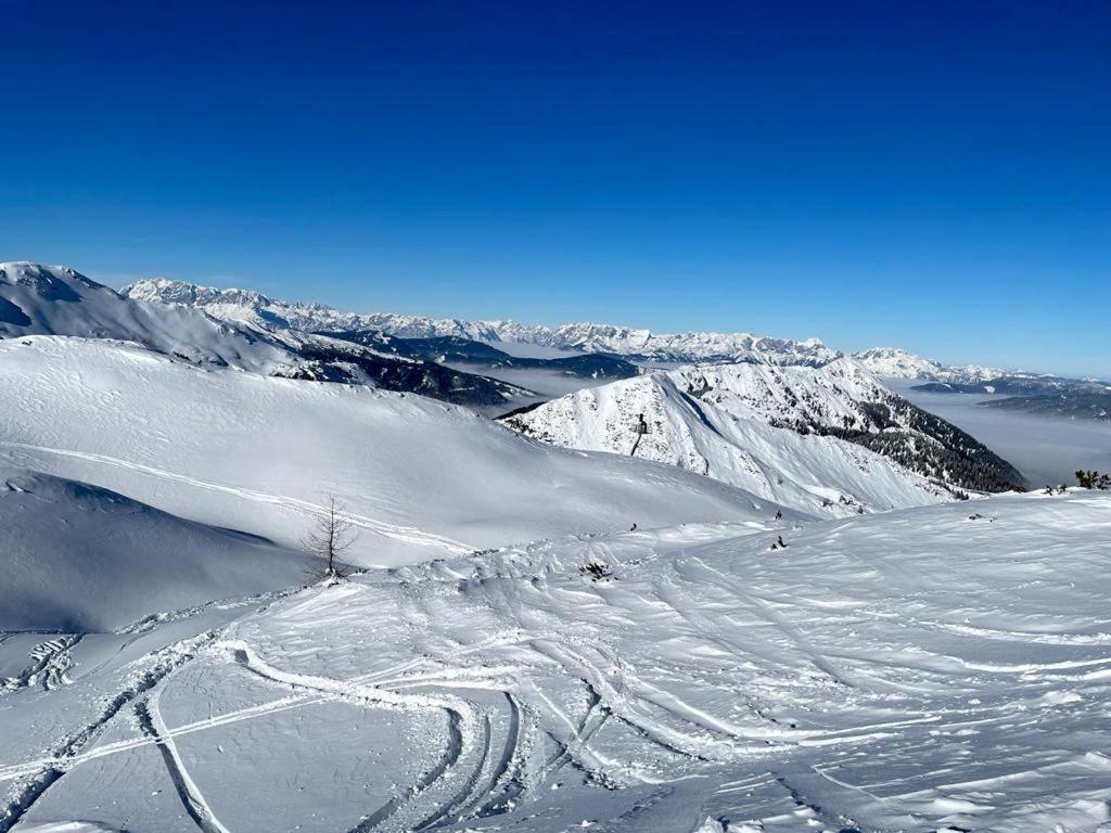 Hotel - Pension Oetzmooshof سانكت يوهان ايم بونغ المظهر الخارجي الصورة