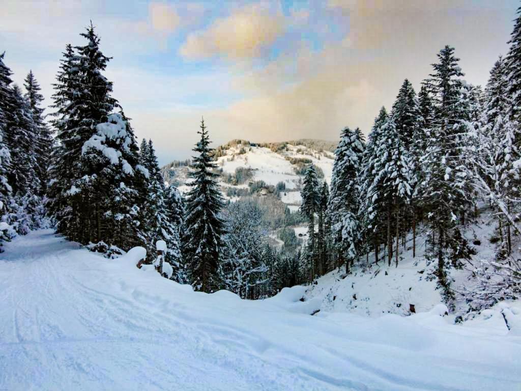 Hotel - Pension Oetzmooshof سانكت يوهان ايم بونغ المظهر الخارجي الصورة