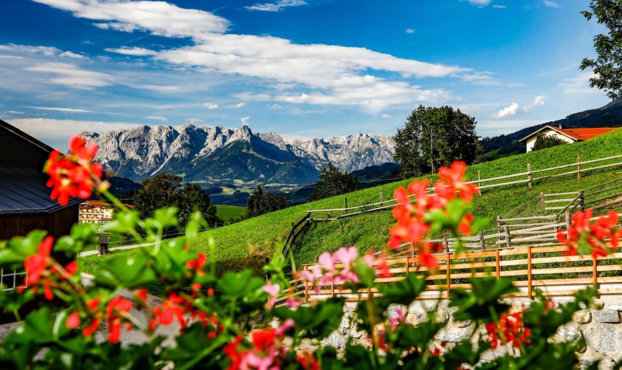Hotel - Pension Oetzmooshof سانكت يوهان ايم بونغ المظهر الخارجي الصورة